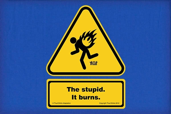 The-Stupid-It-Burns.jpg