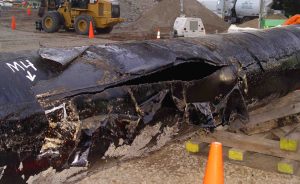 Ruptured Section of Enbridge Pipeline 6B Recovered from Calhoun County, MI. NTSB Image